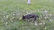 002.webp