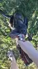 008.webp
