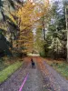 004.webp