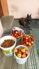 004.webp