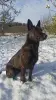 005.webp